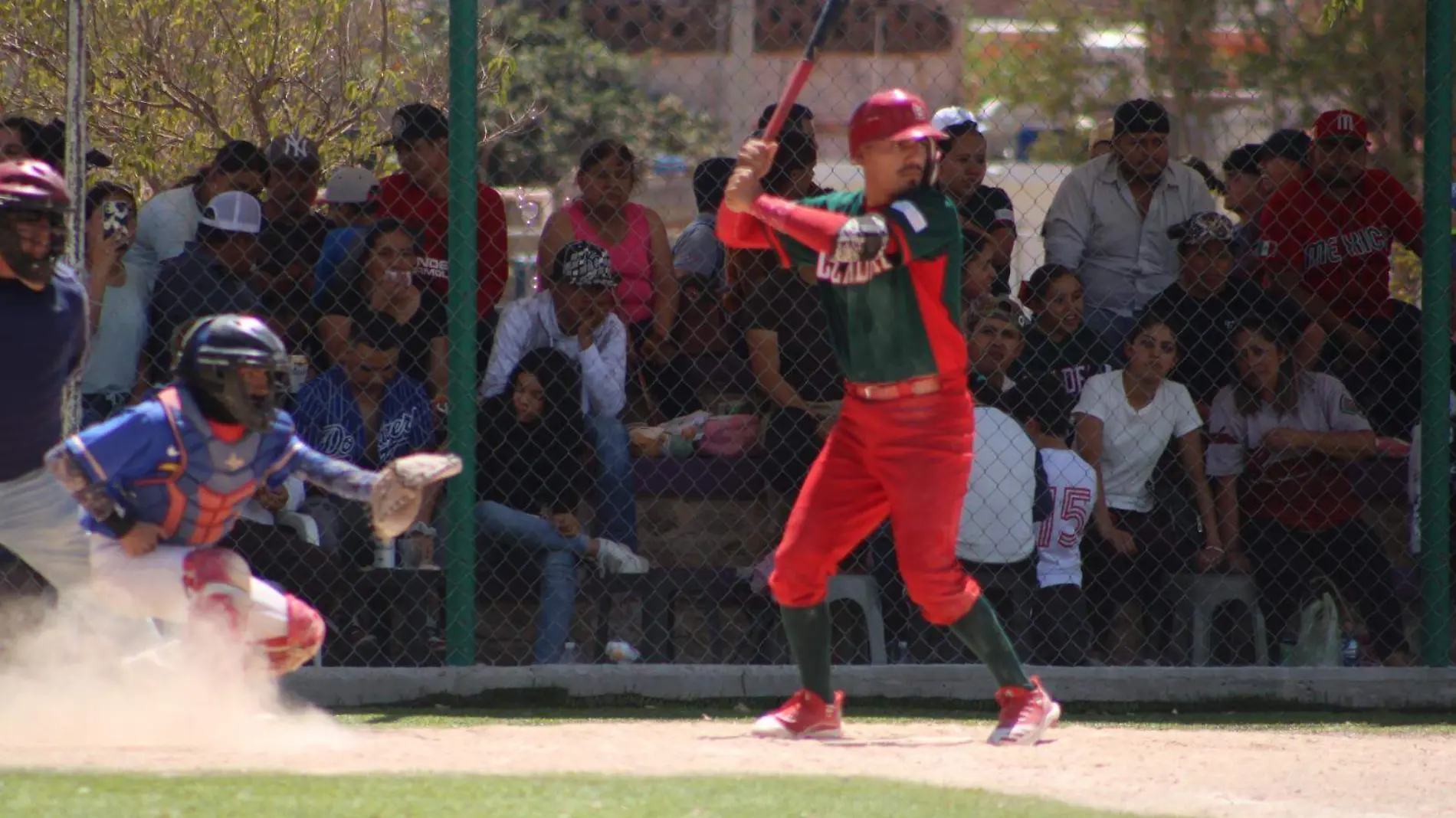 Cardenales beisbol